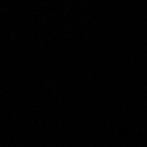 Meet your Posher, Alissa